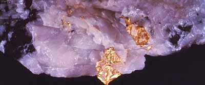 Gold Banner Image of Geophysics Dept, Wits